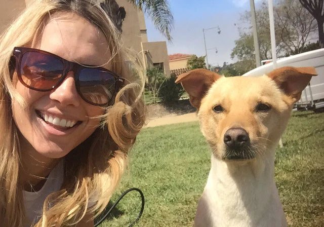 files/Pooch-Selfie-Blog-1.webp